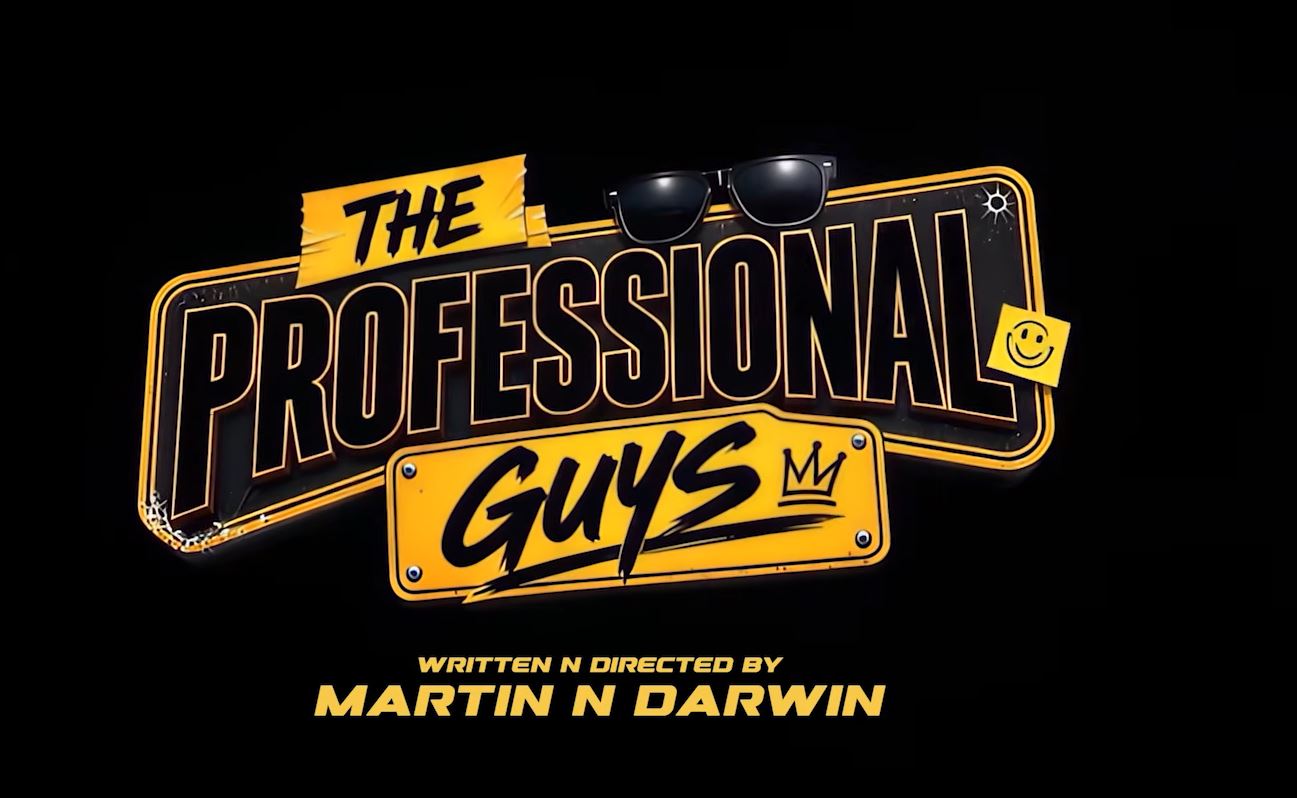 THE PROFESSIONAL GUYS